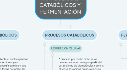 Mind Map: PROCESOS ANABÓLICOS, CATABÓLICOS Y FERMENTACIÓN