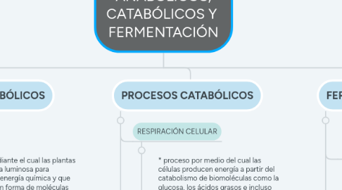 Mind Map: PROCESOS ANABÓLICOS, CATABÓLICOS Y  FERMENTACIÓN