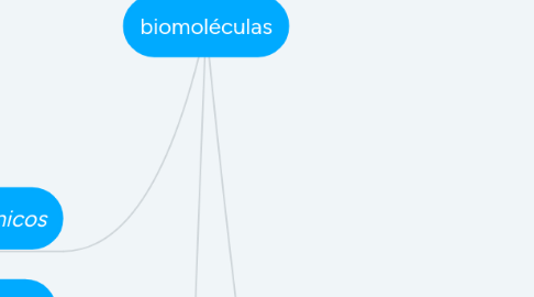 Mind Map: biomoléculas