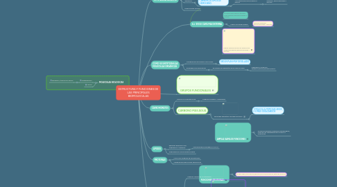 Mind Map: ESTRUCTURA Y FUNCIONES DE LAS PRINCIPALES BIOMOLECULAS