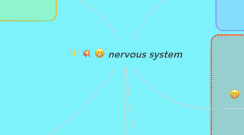 Mind Map: nervous system