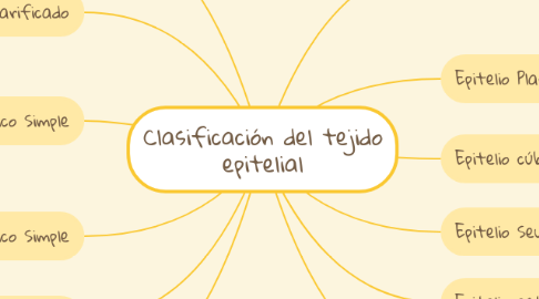 Mind Map: Clasificación del tejido epitelial