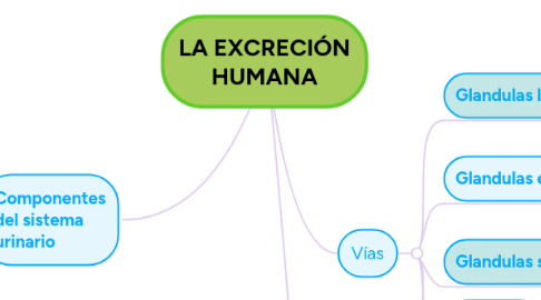 Mind Map: IMPERIO CAROLINGIO 800 d.c a 843 d.c.