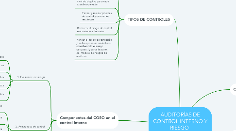 Mind Map: AUDITORÍAS DE CONTROL INTERNO Y RIESGO  DE CONTROL