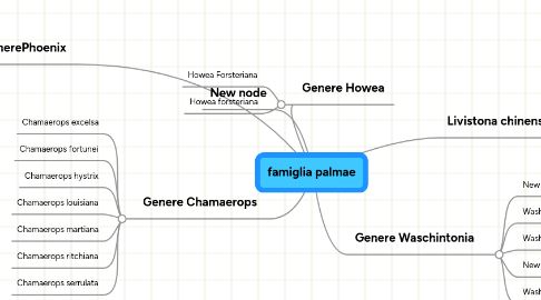 Mind Map: famiglia palmae