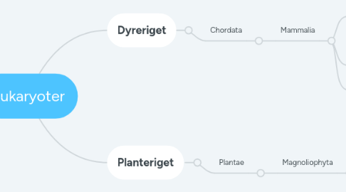 Mind Map: Eukaryoter