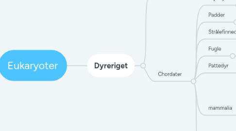 Mind Map: Eukaryoter