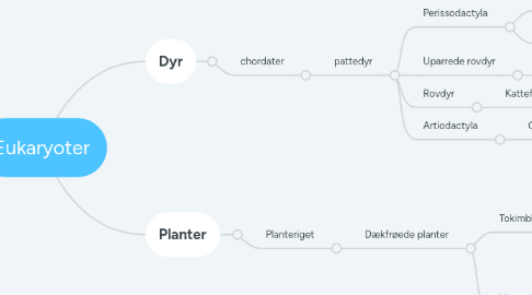 Mind Map: Eukaryoter