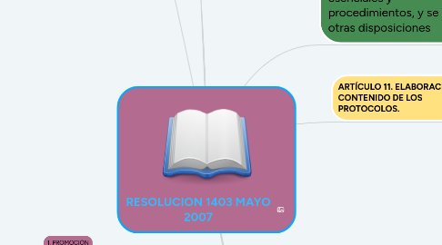 Mind Map: RESOLUCION 1403 MAYO 2007