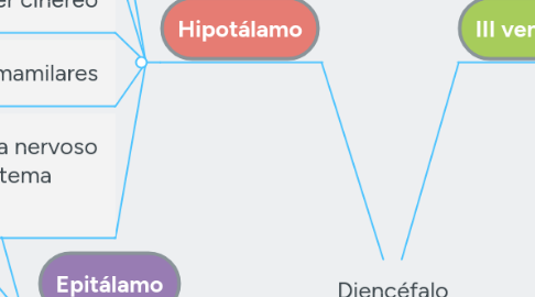 Mind Map: Diencéfalo