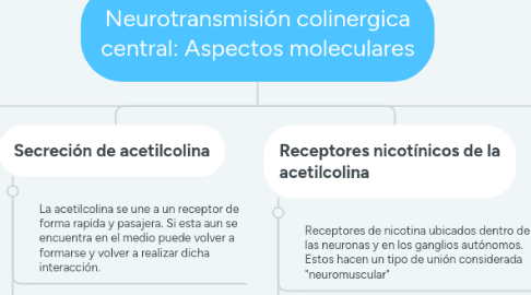 Mind Map: Neurotransmisión colinergica central: Aspectos moleculares