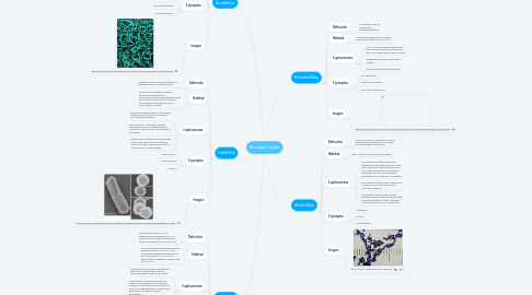 Mind Map: Biología Celular