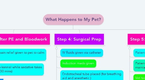 Mind Map: What Happens to My Pet?