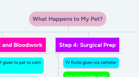 Mind Map: What Happens to My Pet?