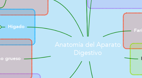 Mind Map: Anatomía del Aparato Digestivo