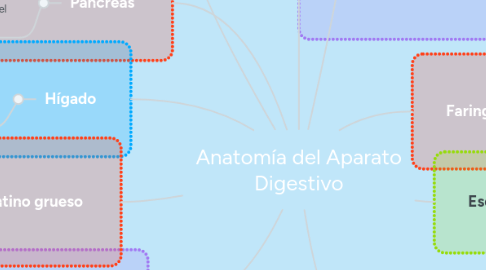 Mind Map: Anatomía del Aparato Digestivo