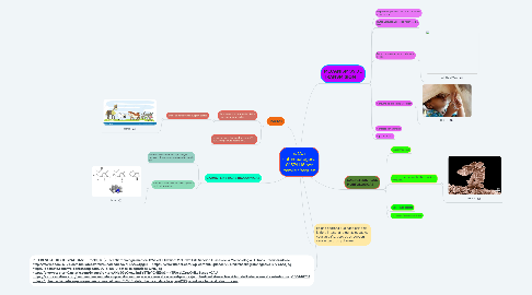 Mind Map: E. Coli enteropatógena 0157:H16 por Yamile Vásquez