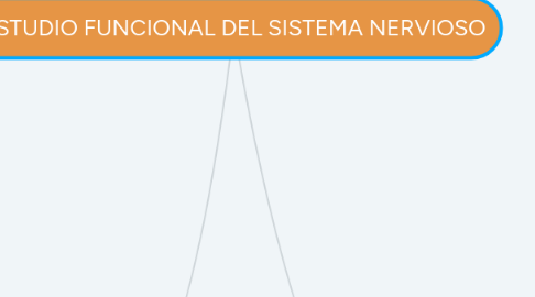 Mind Map: ESTUDIO FUNCIONAL DEL SISTEMA NERVIOSO