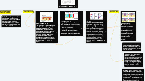 Mind Map: TRANSPORTE DE MEMBRANA