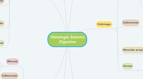 Mind Map: Histología Sistema Digestivo