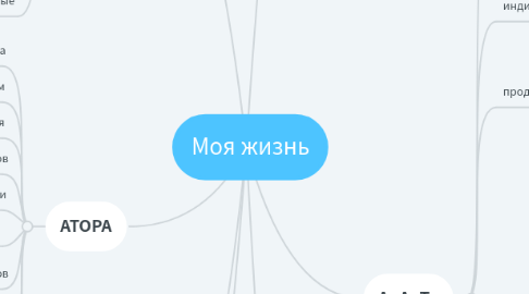 Mind Map: Моя жизнь