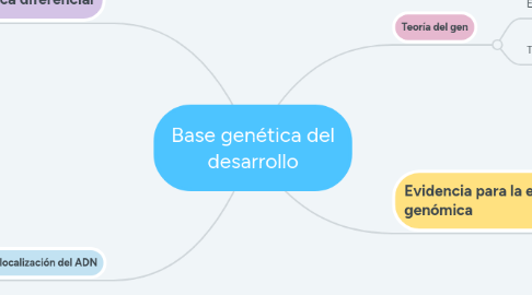 Mind Map: Base genética del desarrollo