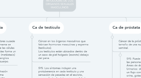 Mind Map: PATOLOGIAS DE LOS ORGANOS SEXUALES MASCULINOS