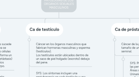 Mind Map: PATOLOGIAS DE LOS ORGANOS SEXUALES MASCULINOS