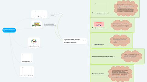 Mind Map: Importantes Áreas del Autoconocimiento
