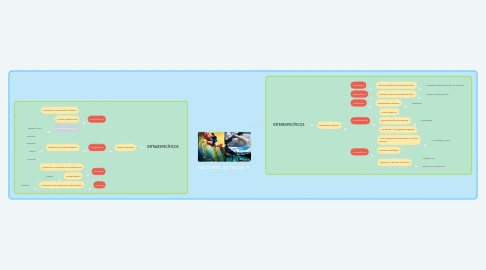 Mind Map: FACTORES BIOTICOS