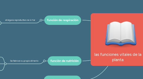 Mind Map: las funciones vitales de la planta