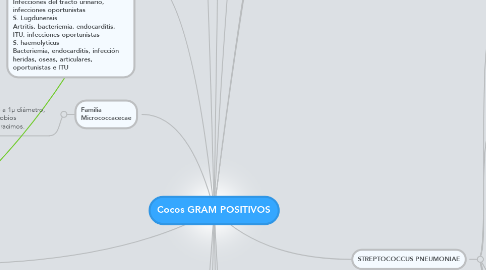 Mind Map: Cocos GRAM POSITIVOS