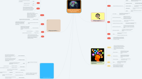 Mind Map: Estudio del Desarrollo Cognoscitivo