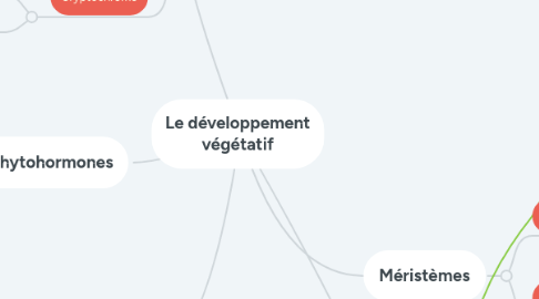 Mind Map: Le développement végétatif