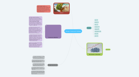 Mind Map: Города Западной Сибири