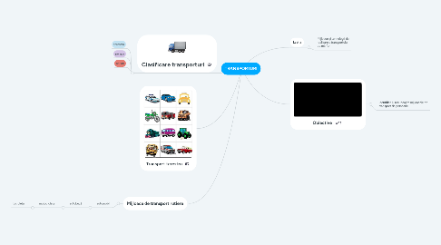 Mind Map: TRANSPORTURI