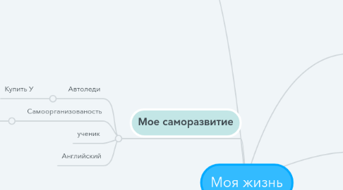 Mind Map: Моя жизнь