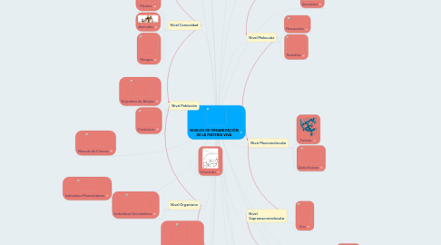 Mind Map: NIVELES DE ORGANIZACIÓN DE LA MATERIA VIVA