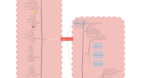 Mind Map: تركيب الخلية ووظائفها