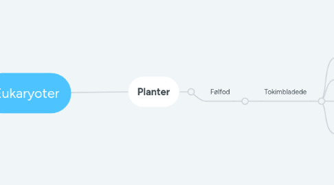 Mind Map: Eukaryoter