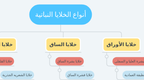 Mind Map: أنواع الخلايا النباتية