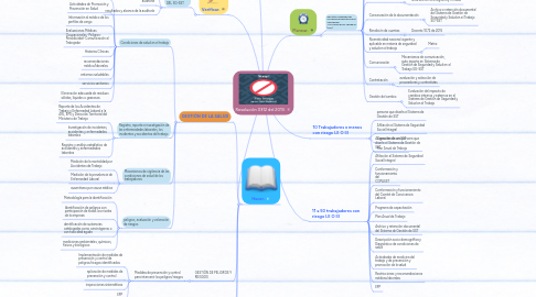 Mind Map: Resolución 0312 del 2019.