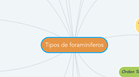 Mind Map: Tipos de foraminiferos