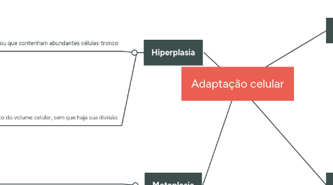 Mind Map: Adaptação celular