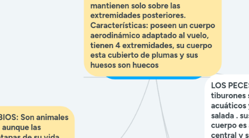 Mind Map: EL REINO ANIMAL