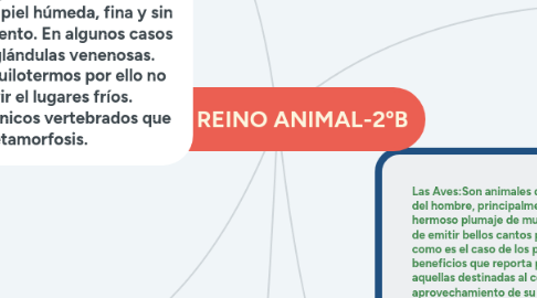 Mind Map: 3-EL REINO ANIMAL-2ºB