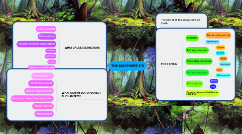 Mind Map: THE BIOSPHERE 5ºB