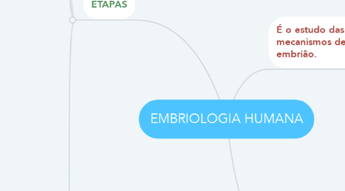 Mind Map: EMBRIOLOGIA HUMANA