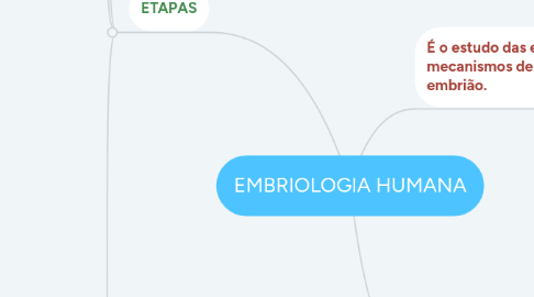 Mind Map: EMBRIOLOGIA HUMANA