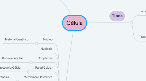 Mind Map: Célula